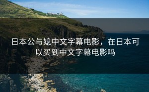 日本公与媳中文字幕电影，在日本可以买到中文字幕电影吗