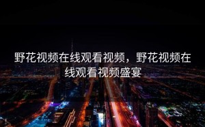 野花视频在线观看视频，野花视频在线观看视频盛宴