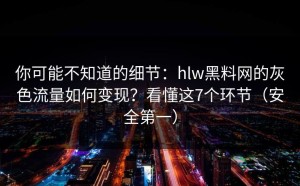 你可能不知道的细节：hlw黑料网的灰色流量如何变现？看懂这7个环节（安全第一）