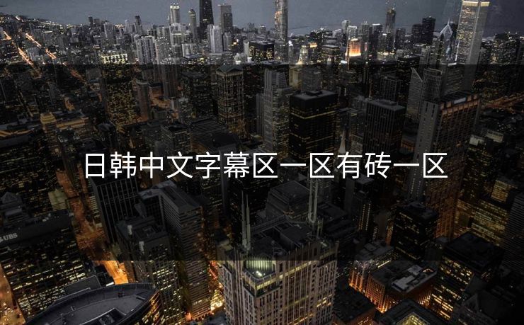 日韩中文字幕区一区有砖一区