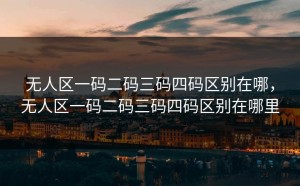 无人区一码二码三码四码区别在哪，无人区一码二码三码四码区别在哪里