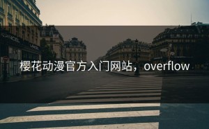 樱花动漫官方入门网站，overflow