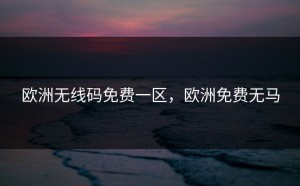 欧洲无线码免费一区，欧洲免费无马