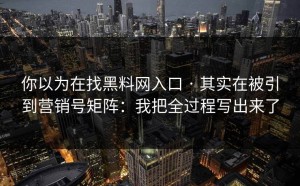 你以为在找黑料网入口 · 其实在被引到营销号矩阵：我把全过程写出来了